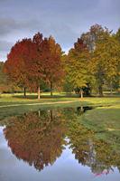 Cjp_2009_10_29_151513 (1)_HDR-D1.jpg